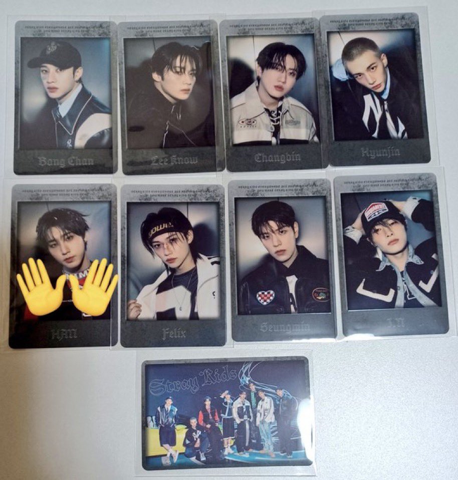 Stray Kids Japan World Tour Online MD Photo Card