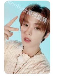 Stray Kids Lee Know Photocards
