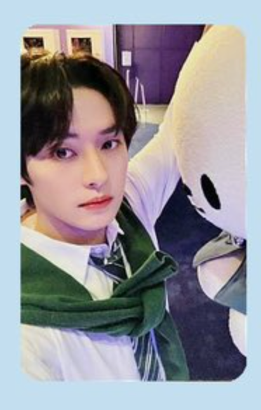 Stray Kids Lee Know Photocards