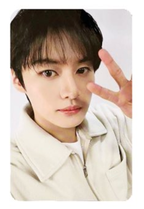 Stray Kids Lee Know Photocards