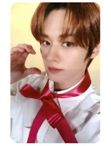 Stray Kids Lee Know Photocards