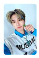 Stray Kids Han Photocards