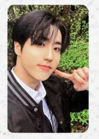 Stray Kids Han Photocards