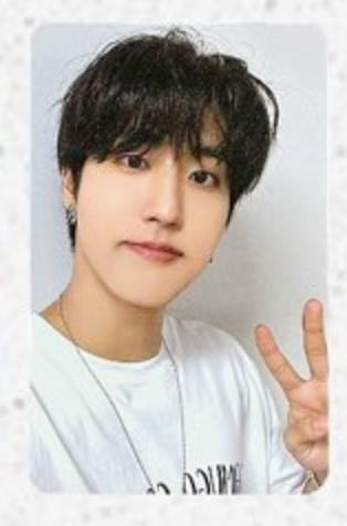Stray Kids Han Photocards