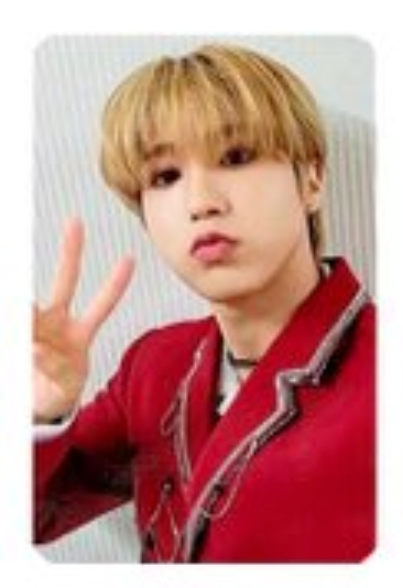 Stray Kids Han Photocards