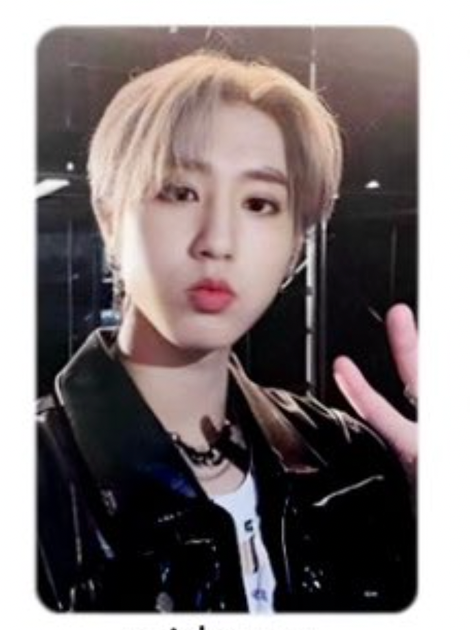 Stray Kids Han Photocards