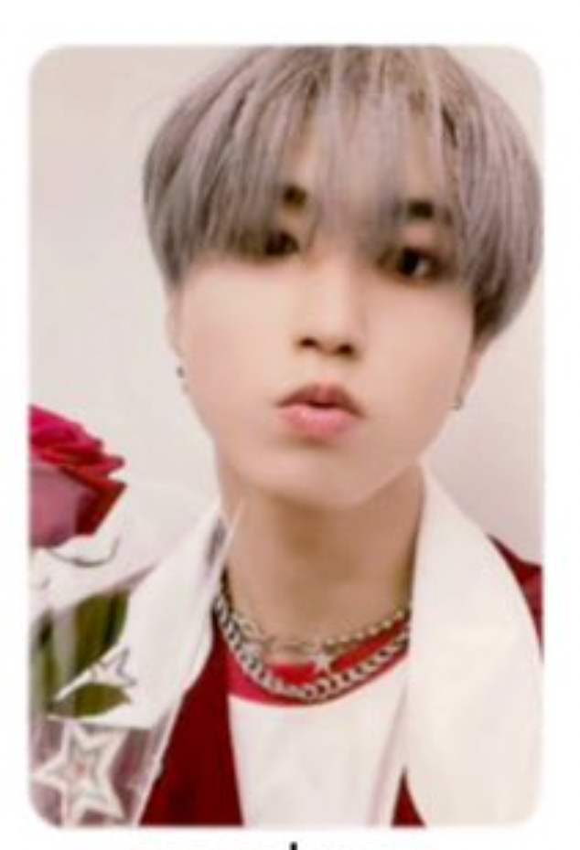 Stray Kids Han Photocards